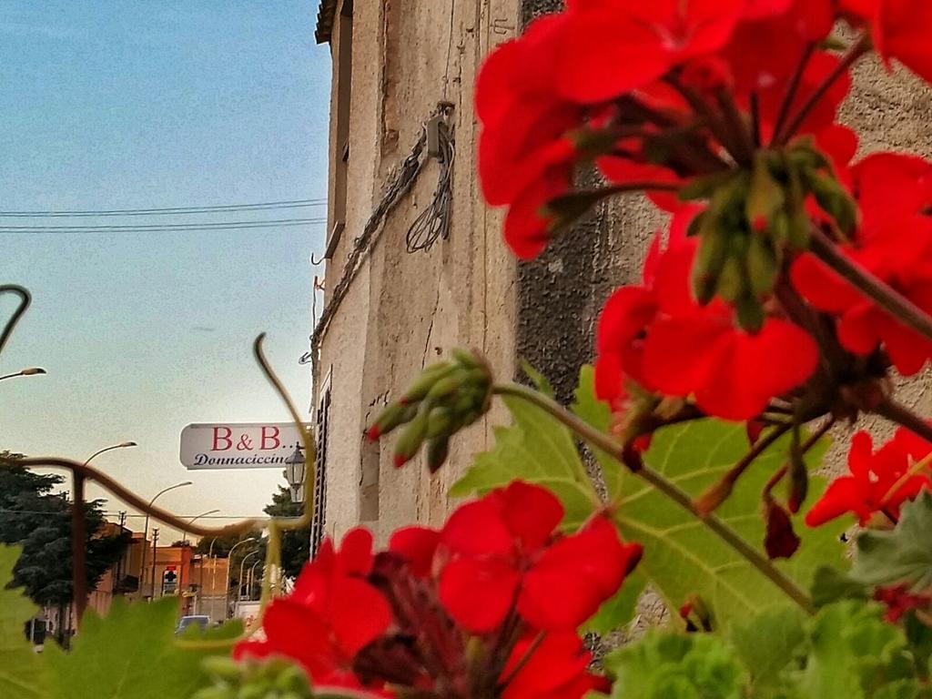 Donnaciccinatrapani Bed & Breakfast Rilievo ภายนอก รูปภาพ